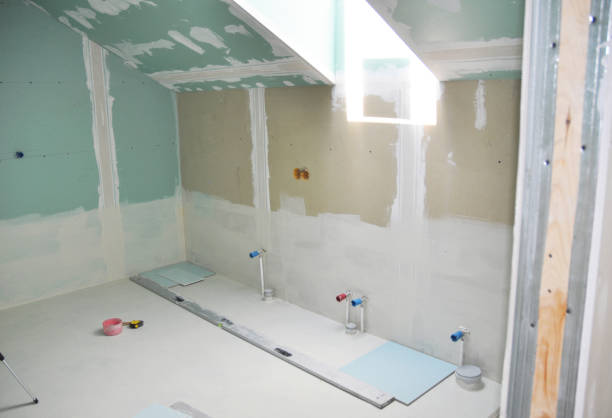Best Mold Odor Removal Services  in USA